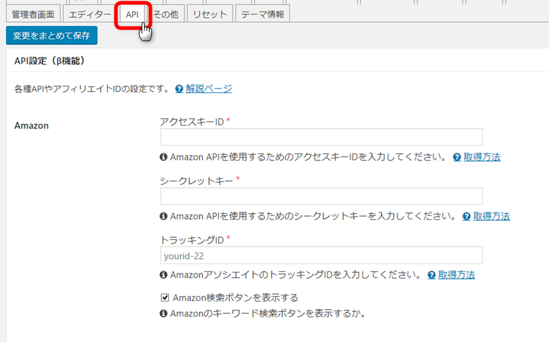 テーマ設定のAPIタブ